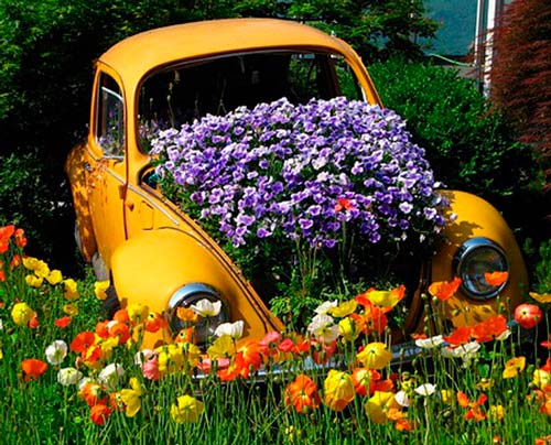 Старый автомобиль в качестве горшка для цветов